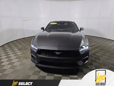 2024 Ford Mustang EcoBoost Premium Fastback