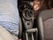 2011 MINI Cooper Countryman Base